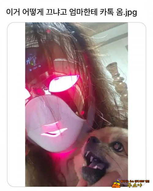 엄마가 보낸 급한카톡