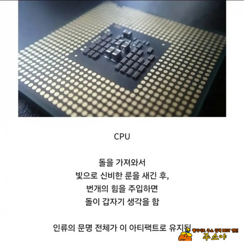 개쌉인정