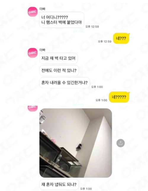 내일은 차도 운전하겠네 ㅎ