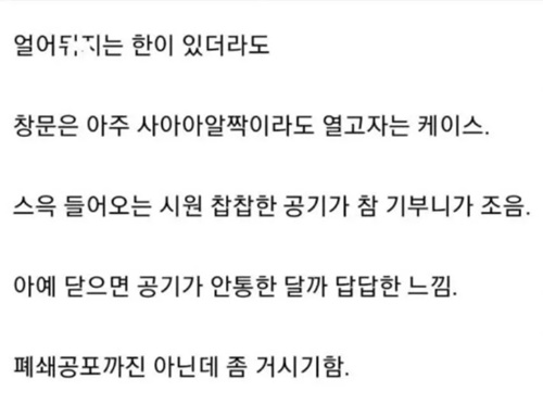 겨울에 얼죽아 만큼 많다는 부류