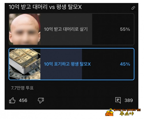 머리 심으면 되잖아