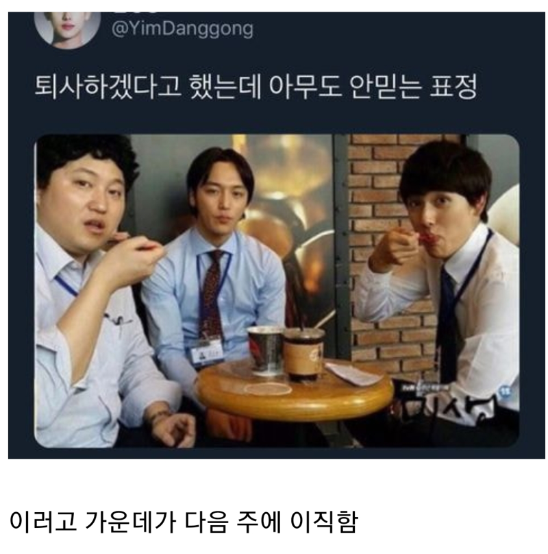 퇴사하겠다고 했는데 아무도 안 믿는 표정