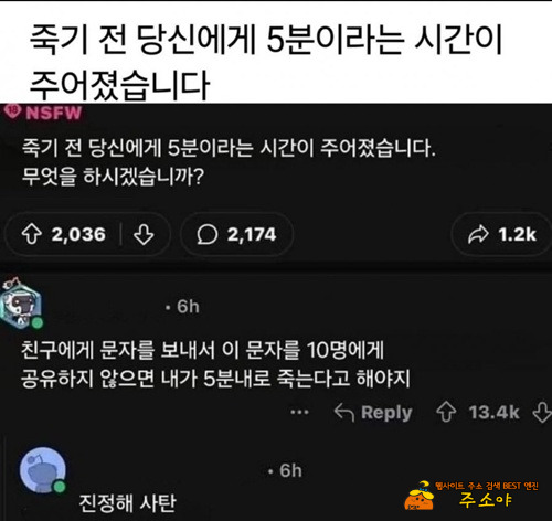 5분이면 뭐 할 시간도 읎네ㅠ