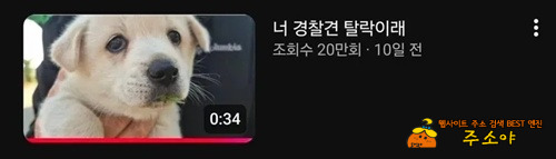 옆집개는 붙었다더라 옆집개는 붙었다더라