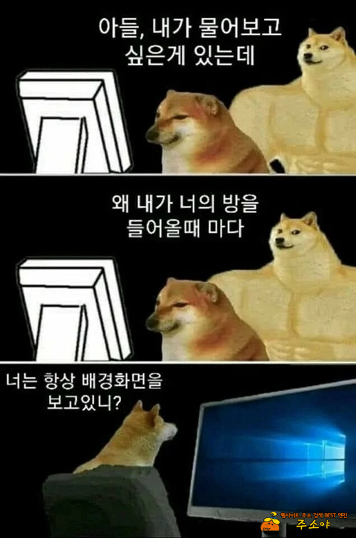 엄마의 궁금점
