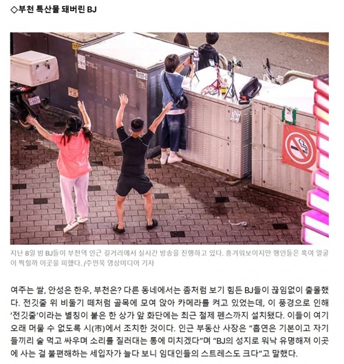 스트리머 개싫다