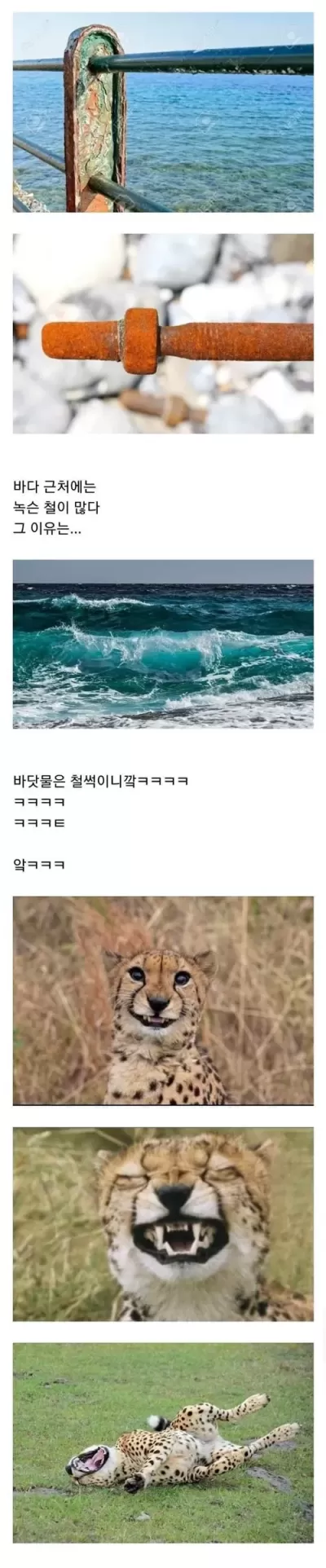 바다에서 철이 녹스는 이유