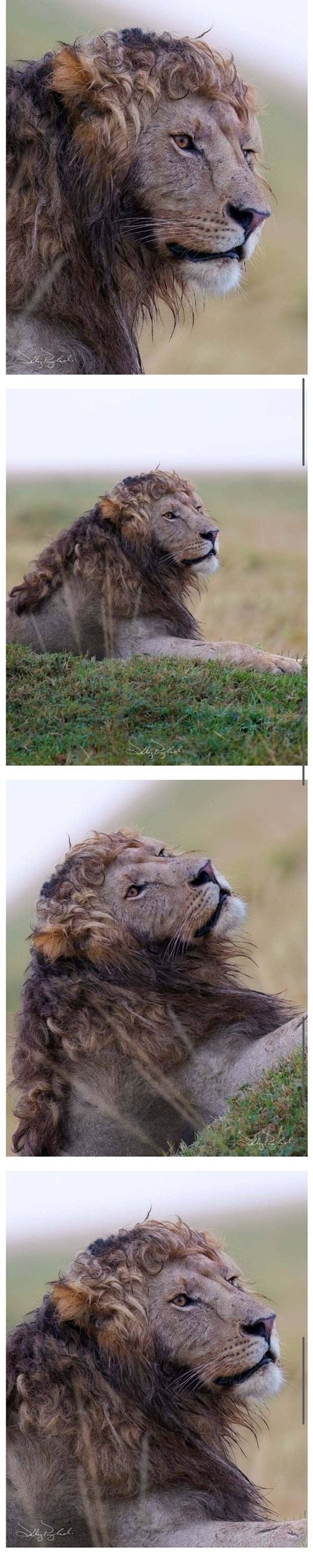 미용실 어디로 다니니?