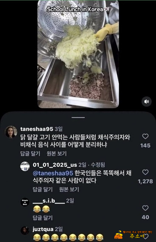 한국 영상에 달린 외국인 댓글