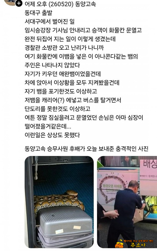 가방에서 열고나왔네