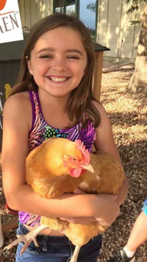 달걀이 가져다준 예상 밖의 반려동물