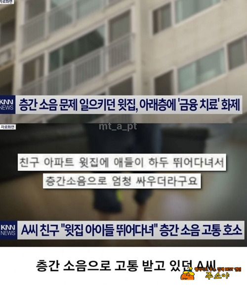 이게 진짜였군 이게 진짜였군