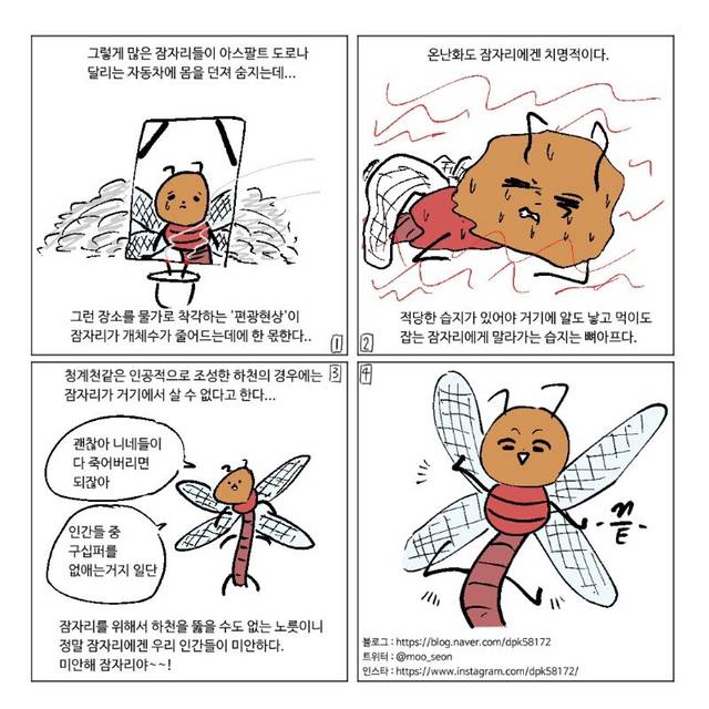 잠자리가 줄어드는 이유.