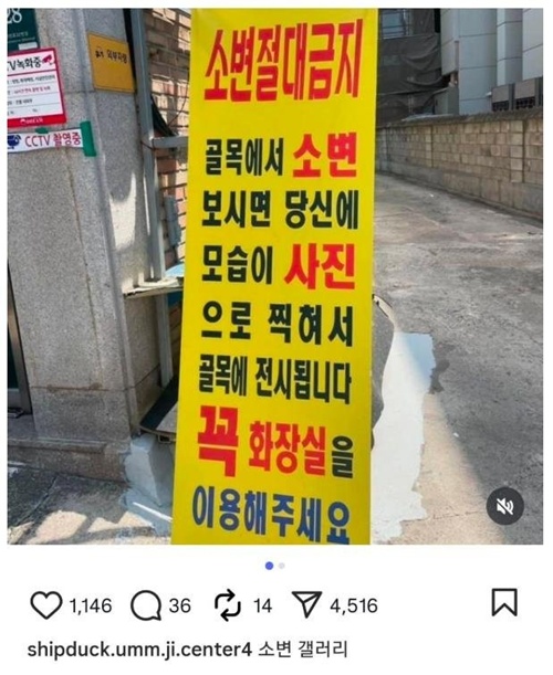 박제