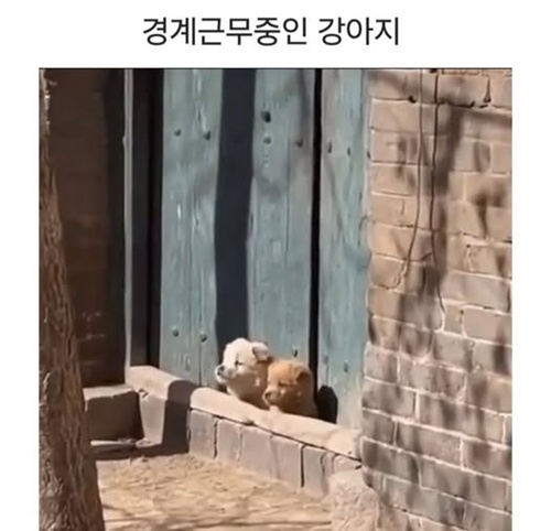근무중 이상무