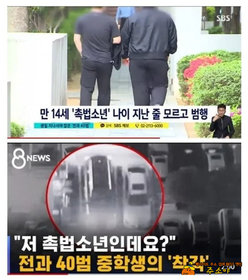 살 처분이 답이다
