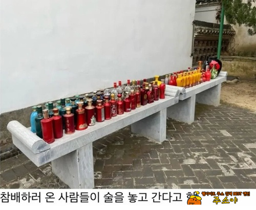 손권은 죽어서도 행복할 수 없...네 손권은 죽어서도 행복할 수 없...네