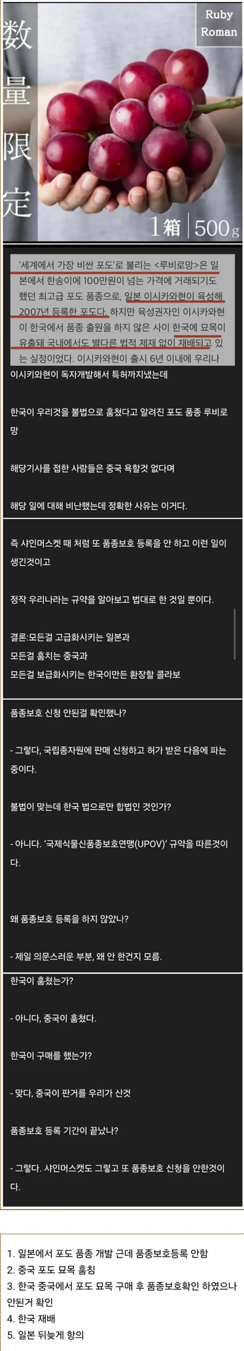 규칙대로 해라