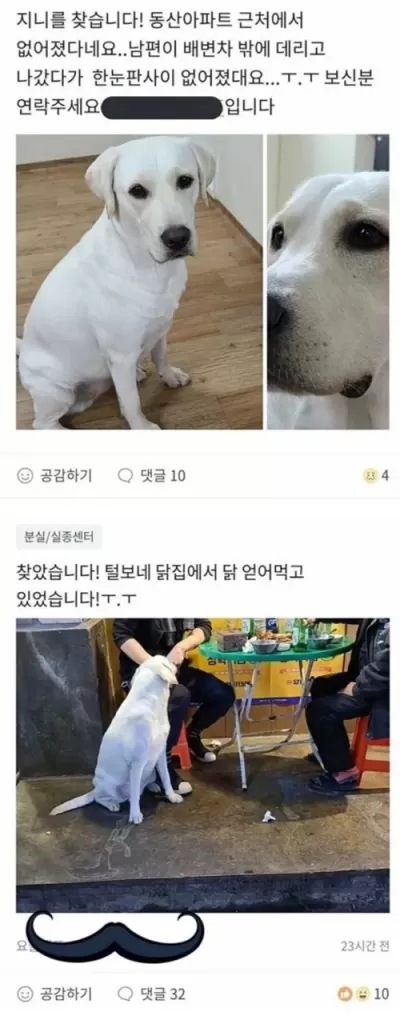 내 이랄줄 알았다