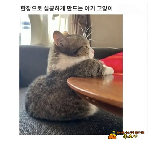 심쿵