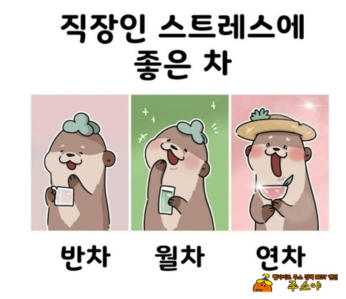 직장인 스트레스에 좋은차