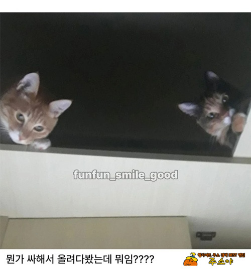 공부는 다했네~ 공부는 다했네~