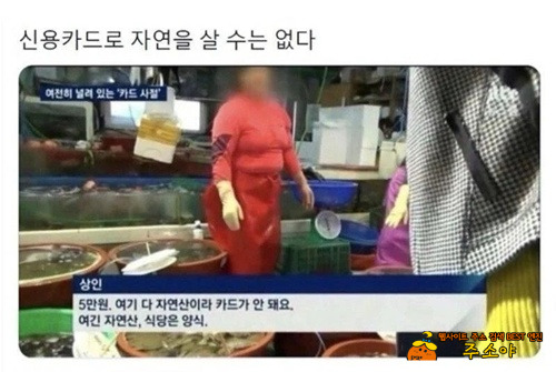 신용카드로는 살 수 없는 것