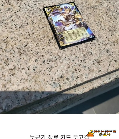 손권은 죽어서도 행복할 수 없...네 손권은 죽어서도 행복할 수 없...네