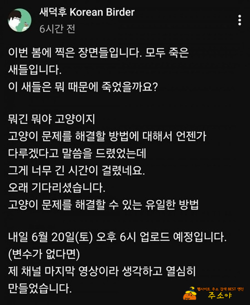 심각하네요 ㄷㄷ