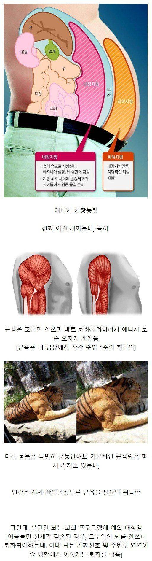 인간의 개쩌는 능력중의 하나