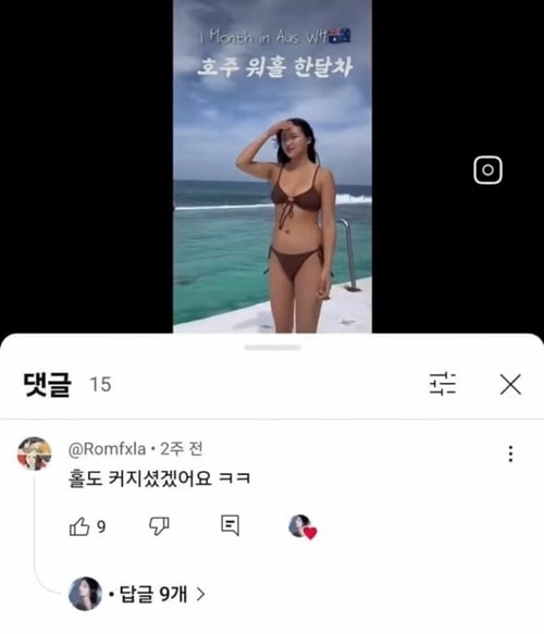 답글이 궁금합니다