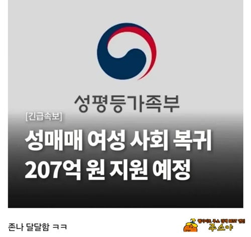 선거가 다가오나보다.. 이런글이 느네