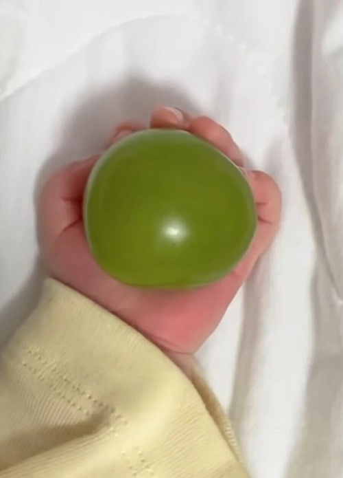 주먹만 한 샤인머스캣