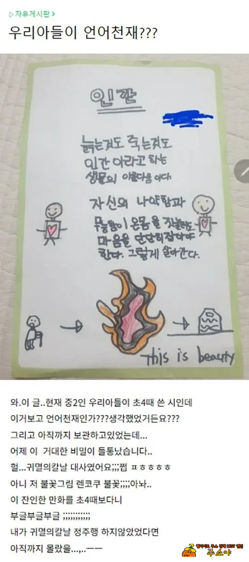 아들이 천재인줄 알았다