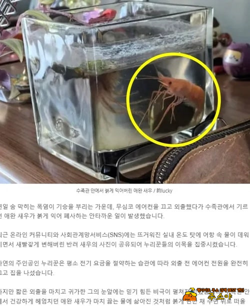 이날씨면....다 죽지