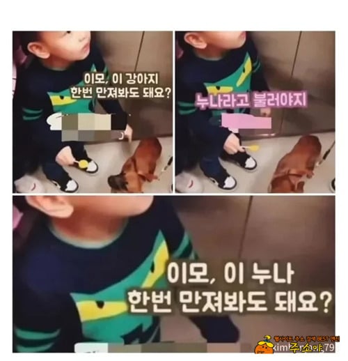 ㅋ 아이한테는 거짓말하지 말아라