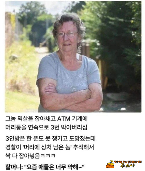 강도 3명에게 공격당한 77세 할머니