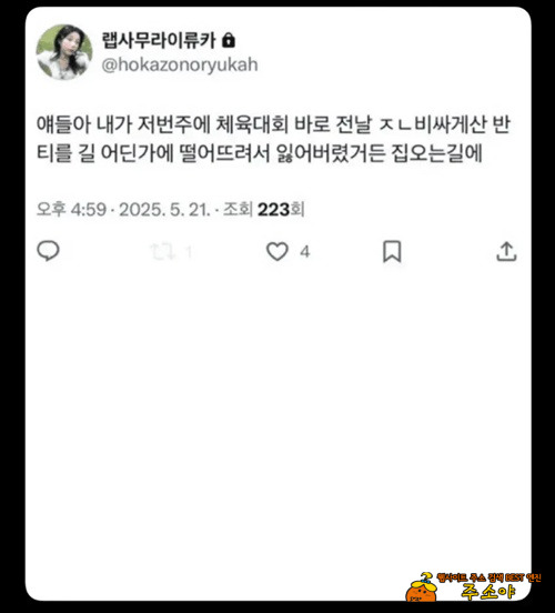 오래전 반티를 잃어버렸는데...