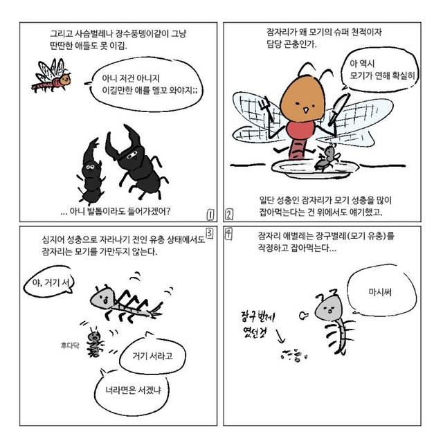 잠자리가 줄어드는 이유.