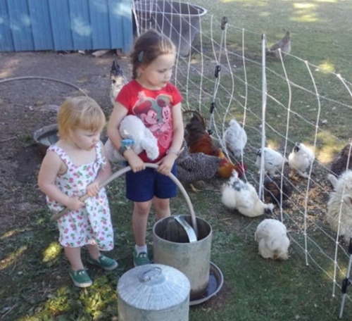 달걀이 가져다준 예상 밖의 반려동물 달걀이 가져다준 예상 밖의 반려동물