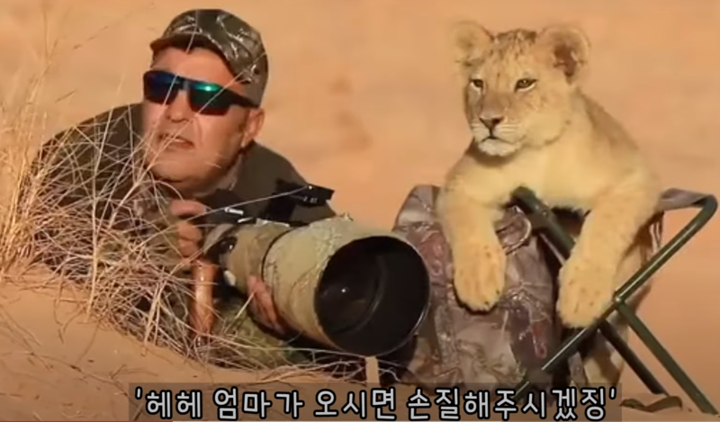 한국 망해가는 중