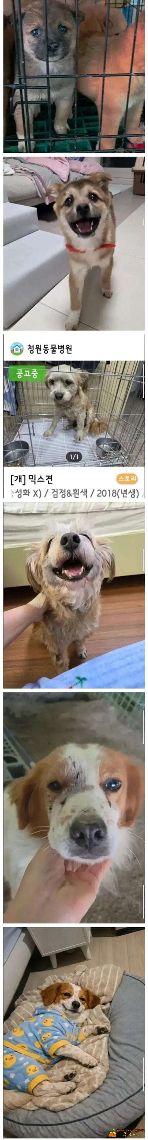 행복함이 느껴진다