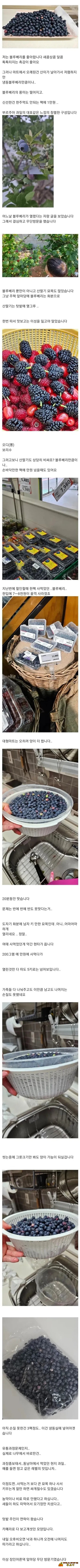 도둑질이 자랑이네