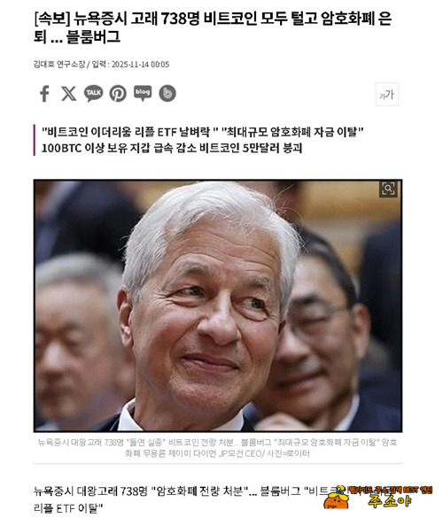 지금 사야하나
