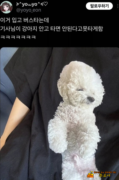 이정도면 속을만했네
