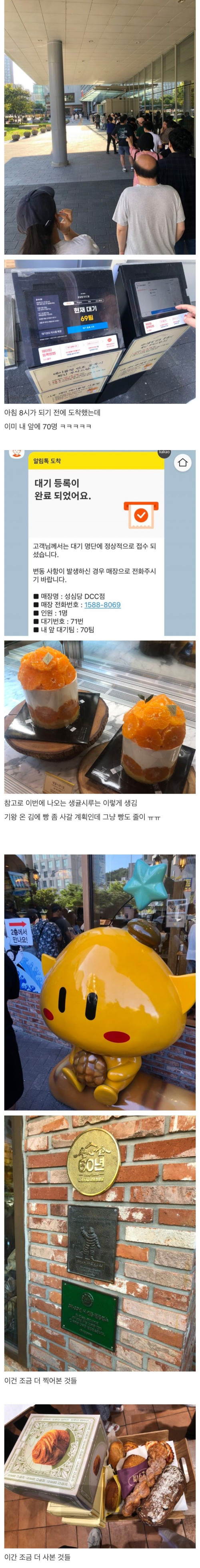 성심당 생귤시루 구매 후기