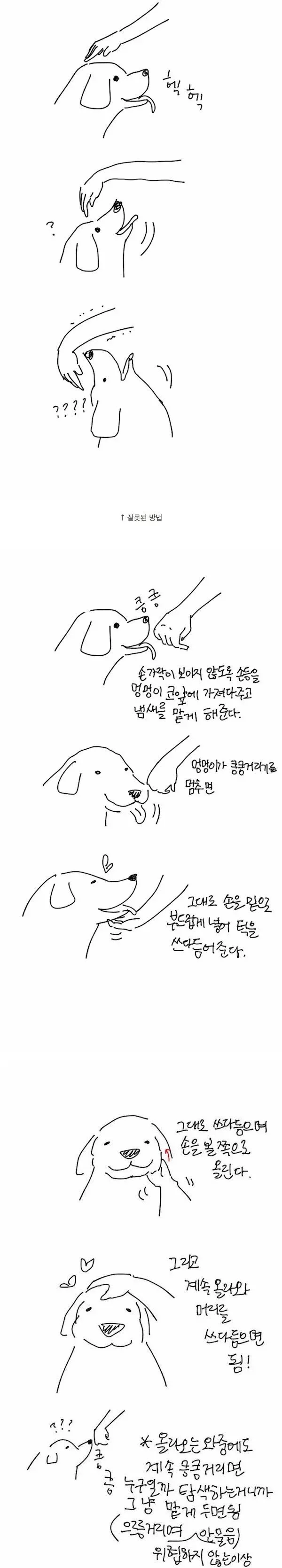 낯선강아지 쓰다듬는 법