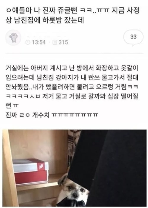 남친집 강아지가 내빤스 물어감