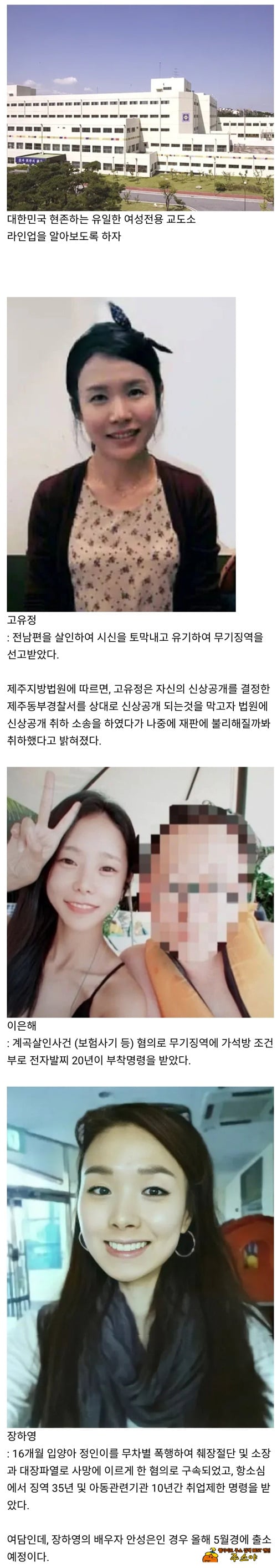 청주여자 라인업