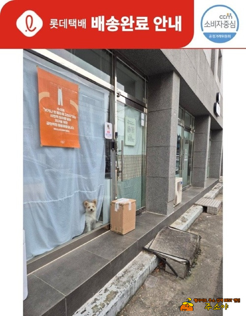 롯데택배 배송완료